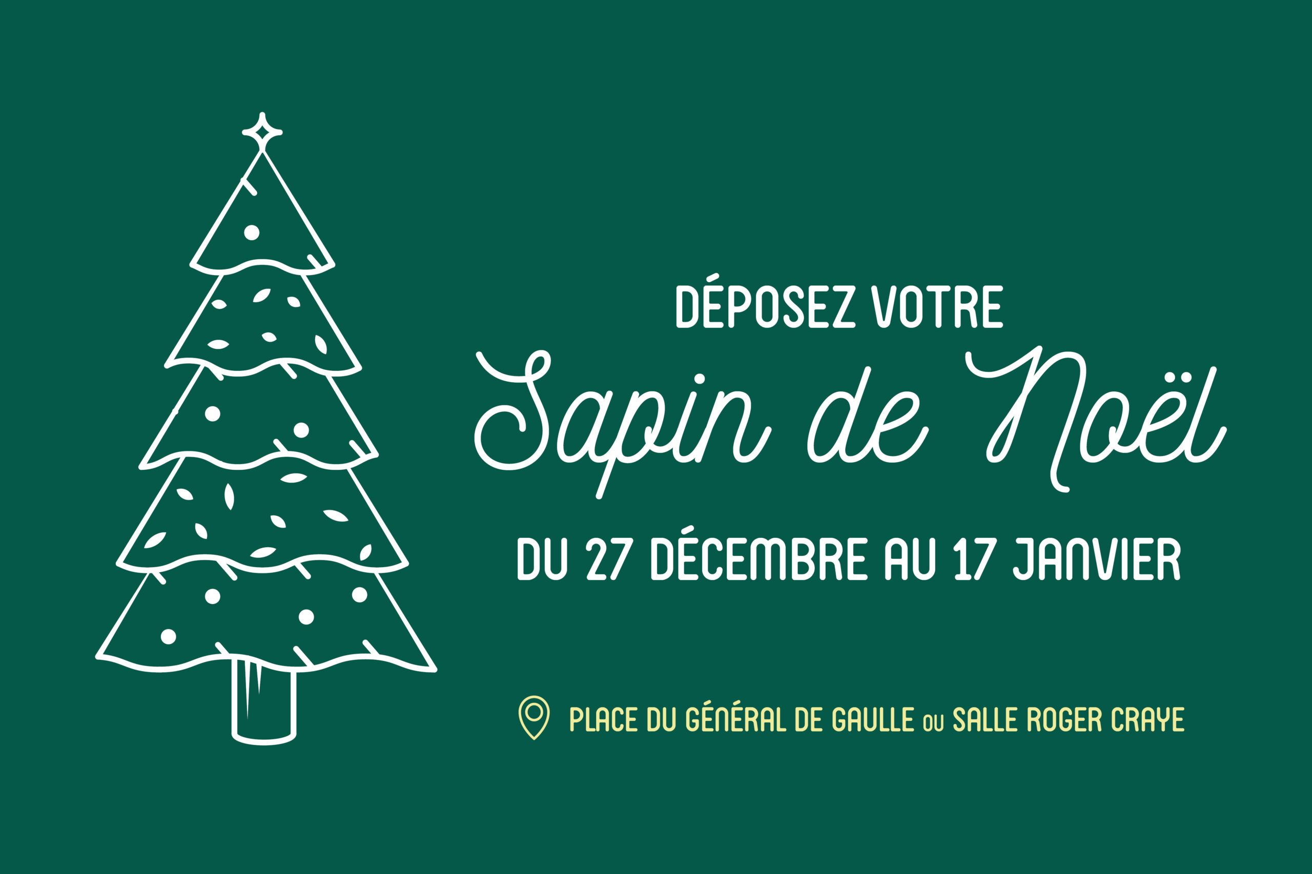 Donnez une seconde vie à votre sapin !